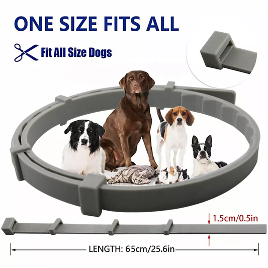 Collar Antipulgas y Garrapatas – 8 Meses de Protección